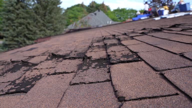 Best Roof Coating and Sealing  in West End Cobb Town, AL